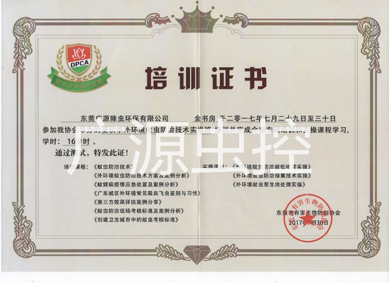 培训证书