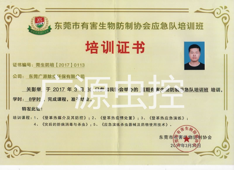 培训证书